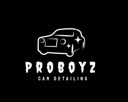 Proboyz Car Detailing